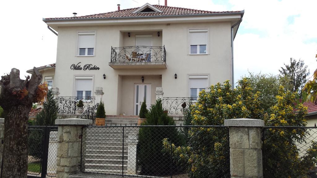 Villa Rubin Panzio Hajduszoboszlo Exterior foto